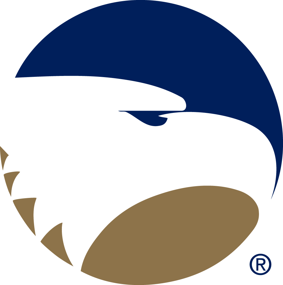 Georgia Southern Eagles 2004-Pres Alternate Logo v3 diy fabric transfer